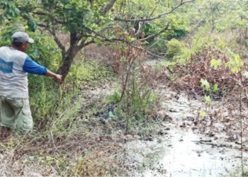 PTCF Belum Punya IPAL