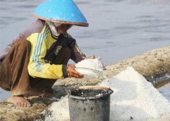 Harga Garam Cirebon Anjlok