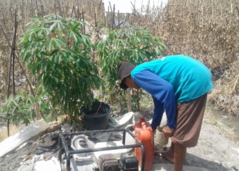 Aliri Satu Hektar Sawah, Petani Keluarkan Rp4 Juta Sebulan