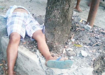 Diduga Lakalantas, Penjual Sayur Ditemukan Tewas di Bawah Pohon Mangga