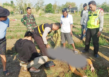 Penyabit Rumput Tewas di Sawah