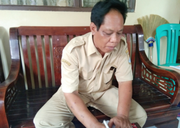 Kuwu Palimanan Timur Coba Peruntungan Bursa Cawabup