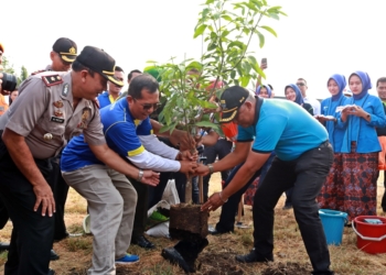 Peduli Lingkungan, Daop 3 Asrikan Stasiun Cirebon Prujakan dengan Aksi Penanaman Pohon