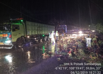 Pohon Tumbang Ganggu Arus Lalulintas