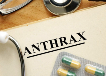 Kasus Antraks Gunung Kidul, Cirebon Waspada