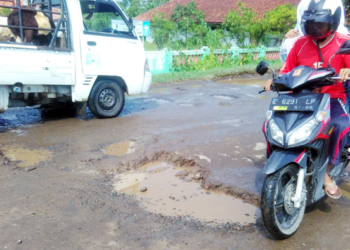 Jalan Kedongdong-Bringin Rusak Berat