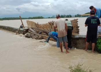 Petani “Korban” Banjir Prioritas Dapat Bantuan