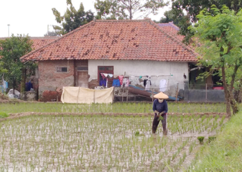 Pupuk Bersubsidi di Majalengka Diklaim Aman