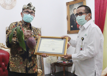 Terdaftar di Kementerian Pertanian Milik Kabupaten Cirebon, Buah Mangga Varietas Baru itu Dinamai Roman Ayu