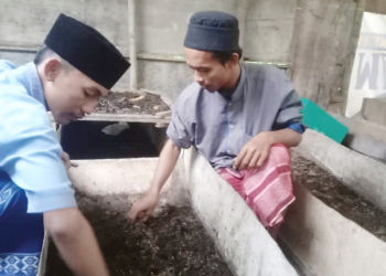 Santri Matholib As-Suluk Kaliwedas Budidayakan Maggot