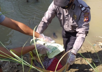 Bayi Laki-laki Berumur 3 Hari Ditemukan Mengambang di Sungai Ciberes Cirebon