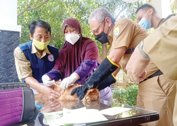 Bupati Karna Minta Hukum Ditegakkan, Tindak Tegas Pelaku yang Menyebabkan Dua Warganya Tewas