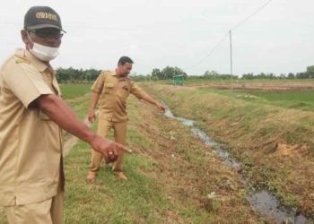 Perangkat Desa Slendra Dilantik