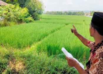 Rangkaian Hari Jadi ke-540 Kabupaten Cirebon, Bupati Santuni Anak Yatim dan Dhuafa Ciwaringin