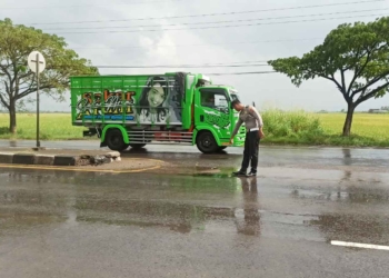 Sepeda Motor Vs Dum Truk Terlibat Kecelakaan di Cirebon