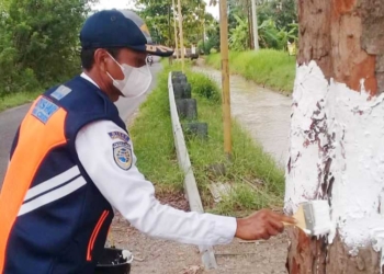 Anggaran Perbaikan PJU Tak Kunjung Cair, Dishub Kabupaten Cirebon Cat Pohon