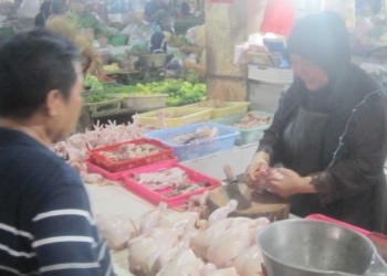 Pascalebaran Harga Daging Kembali Stabil