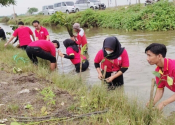 Peringati Hari Lingkungan Hidup Sedunia 2022, 500 Mangrove Ditanam di Sungai Muara