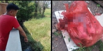 Terbungkus Plastik Merah, Mayat Bayi Laki-Laki Dikira Kepala Sapi