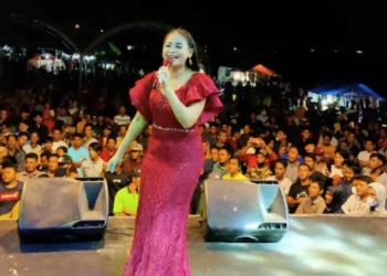 Biodata Singkat Dian Anic dan Perjalanannya Meniti Karir