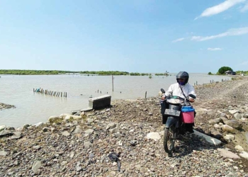 Tambak-Garam-di-Desa-Rawaurip-Kecamatan-Pangenan-Kabupaten-Cirebon