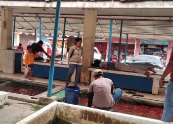 harga-ikan-tawar-ikut-naik