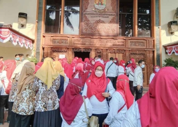 puluhan-tenaga-honorer-kesehatan-kabupaten-cirebon