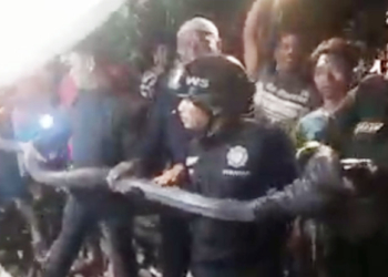 Penemuan Ular King Kobra 4 Meter Gegerkan Warga Kuningan