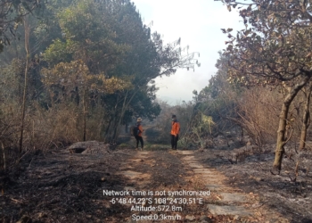 Hutan dan Lahan Seluas 95 Hektar di Gunung Ciremai Dilumat ’Si Jago Merah’, Api Kembali Menyala
