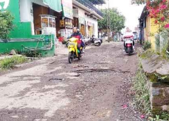Jalan Akses Desa di Majalengka Butuh Perhatian Pemerintah