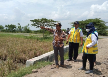 Tim BBWS Survey Lokasi P3TGAI di Dukuh