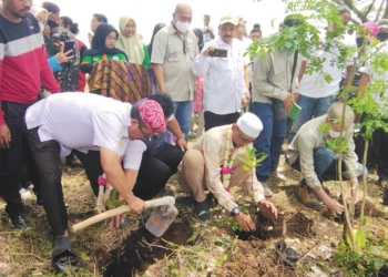 Wisata Mangrove Pengarengan Butuh Dukungan Swasta