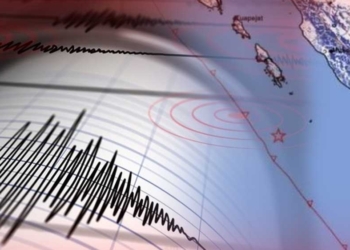 Dalam Sepekan Bengkulu Diguncang Gempa Lebih dari 5 Kali, yang Terbesar Mencapai M 6,8, Terbaru Siang ini