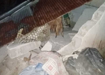 Pulau Bali Diguncang 61 Gempa, 46 Rumah Rusak, Kategori Gempa Dangkal