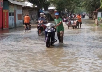 Banjir di Cirebon Meluas, Akses Jalan Terendam, Kendaraan Nekat Terobos Siap-Siap Mogok