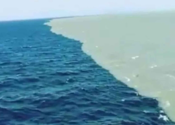 Bukti Kebenaran Surat Ar Rahman, Dua Lautan Bertemu dengan Warna Air Berbeda