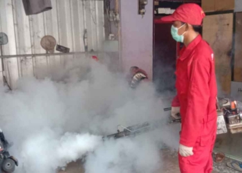 Enam Kasus DBD di Kabupaten Cirebon Warnai Catatan Awal Tahun