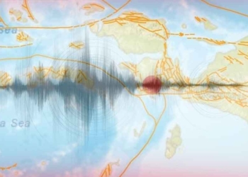 Papua Terus Diguncang, Pusat Gempa Tersebar di Laut dan Darat