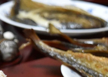 Sajian Wajib di Malam Imlek, Ikan Bandeng Ternyata Cuma di Pantura, Ini Penjelasannya