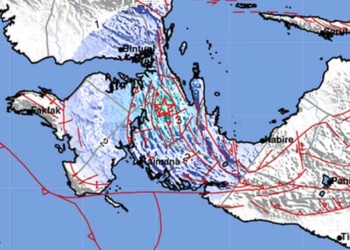 Update BMKG : Gempa Susulan di Jayapura Papua Terjadi 271 Kali