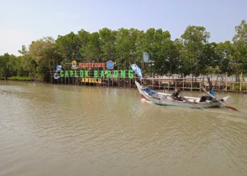 Ekowisata Mangrove Caplok Barong di Desa Ambulu Kecamatan&nbsp; Losari Tawarkan Pariwisata Asri