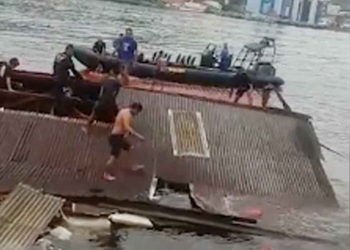 Info Gempa Terkini BMKG, Jayapura Diguncang 3 Detik, Bangunan Cafe Roboh dan Hanyut ke Laut, 4 Tewas 5 Luka-luka