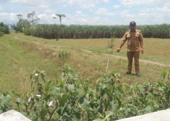 Irigasi Persawan di Cirebon Mengering, Padahal Musim Hujan, Loh Kok Bisa, Ternyata Ini Penyebabnya