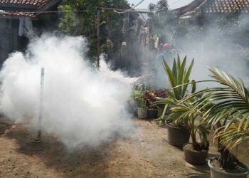 DBD di Kabupaten Cirebon Tembus 299 Kasus, 2 Meninggal Dunia
