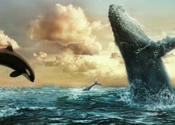 Tahukah Kamu, Kenapa Makan Kurma Harus Ganjil dan Ikan Paus yang Menelan Nabi Yunus Masih Hidup