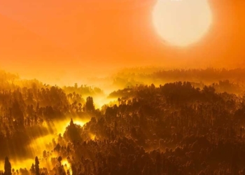 Gelombang Panas Terjang Asia, Ini Kota yang Capai Suhu Tertinggi, di Indonesia Rata-rata Segini