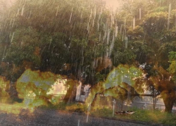 Pesisir Pantura Indramayu dan Cirebon Diguyur Hujan, Suhu Panas Turun Meski Sejenak