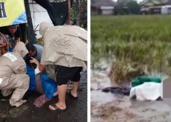 Petani dan Pedagang Empal Gentong di Cirebon Tewas Tersambar Petir, Dua Korban Lainnya Luka Parah