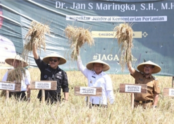 Panen Raya di Cirebon, Wagub Jabar Minta Bupati Awasi Alih Fungsi Lahan Produktif