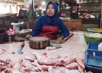 Harga Telur dan Daging Ayam di Cirebon Melonjak